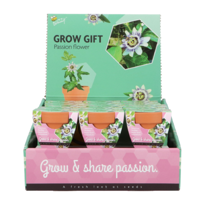Passiflora groeicadeautje