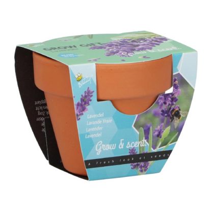 Lavendel groeicadeautje