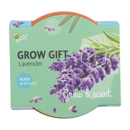 Lavendel groeicadeautje