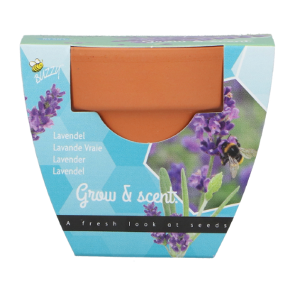 Lavendel groeicadeautje