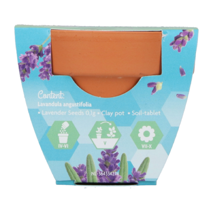 Lavendel groeicadeautje