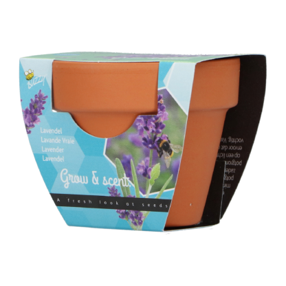 Lavendel groeicadeautje