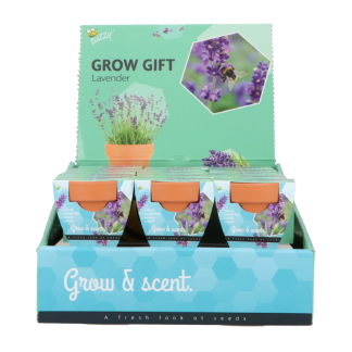 Lavendel groeicadeautje