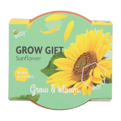 zonnebloem groeicadeautje