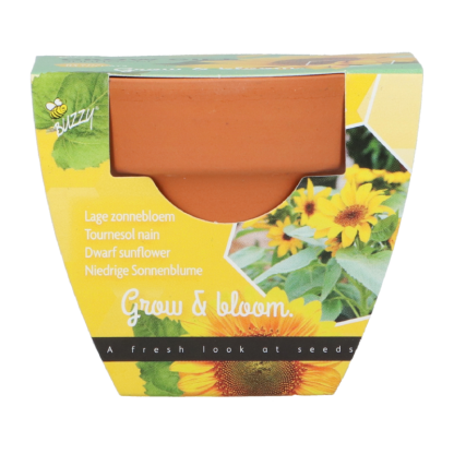 zonnebloem groeicadeautje
