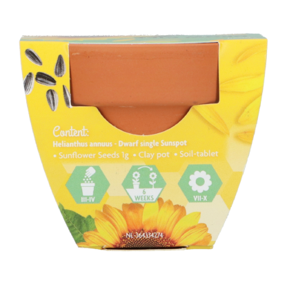 zonnebloem groeicadeautje