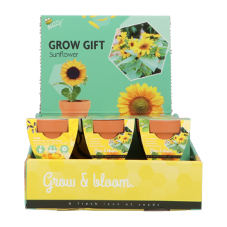 zonnebloem groeicadeautje